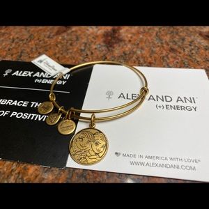 Alex and Ani frozen Disney bangle bracelet